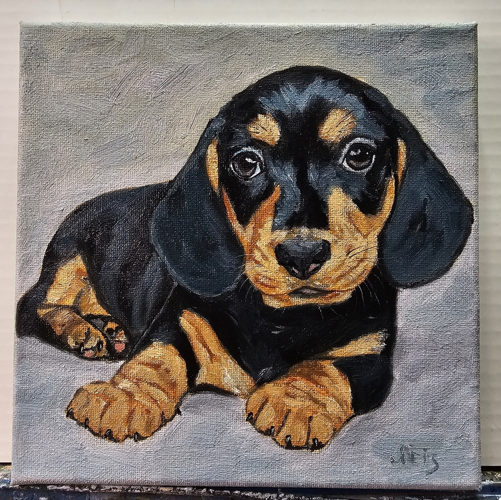 Abstract oil Painting cute dog, dachshund